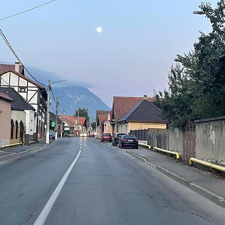 ZărneştiCasa Nicoladisアパートメント エクステリア 写真