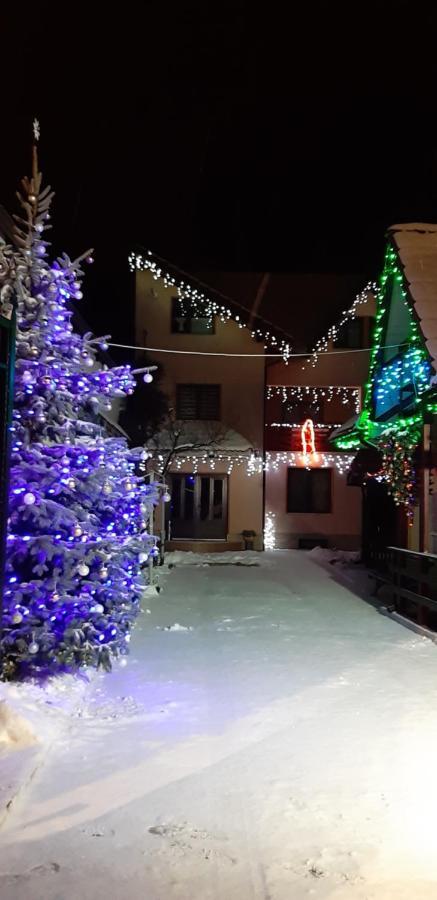 ZărneştiCasa Nicoladisアパートメント エクステリア 写真