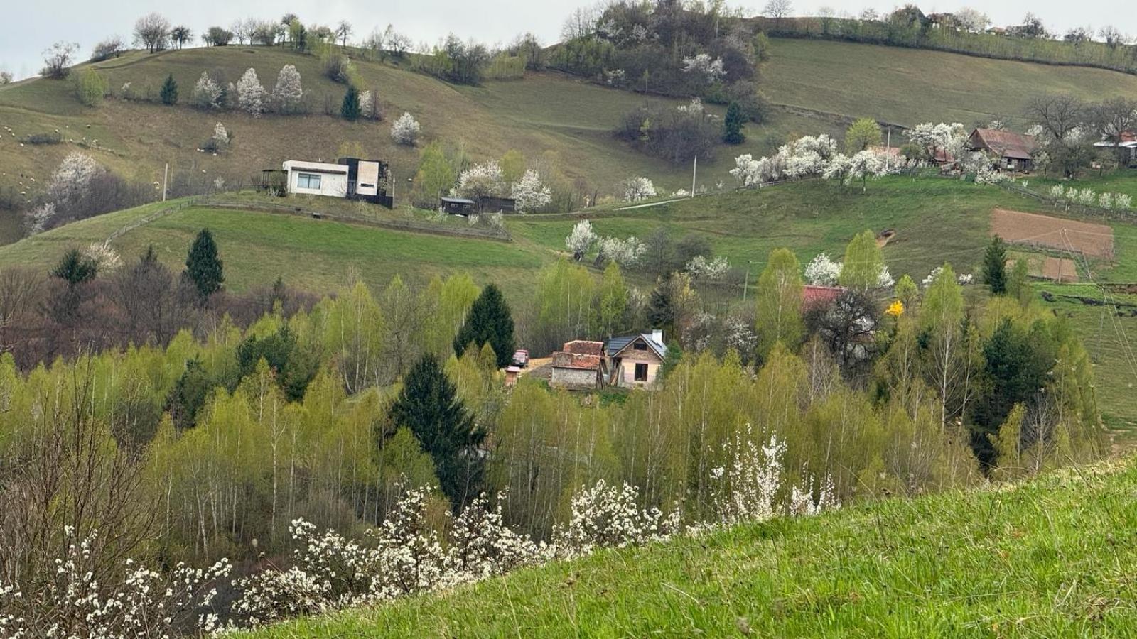 ZărneştiCasa Nicoladisアパートメント エクステリア 写真