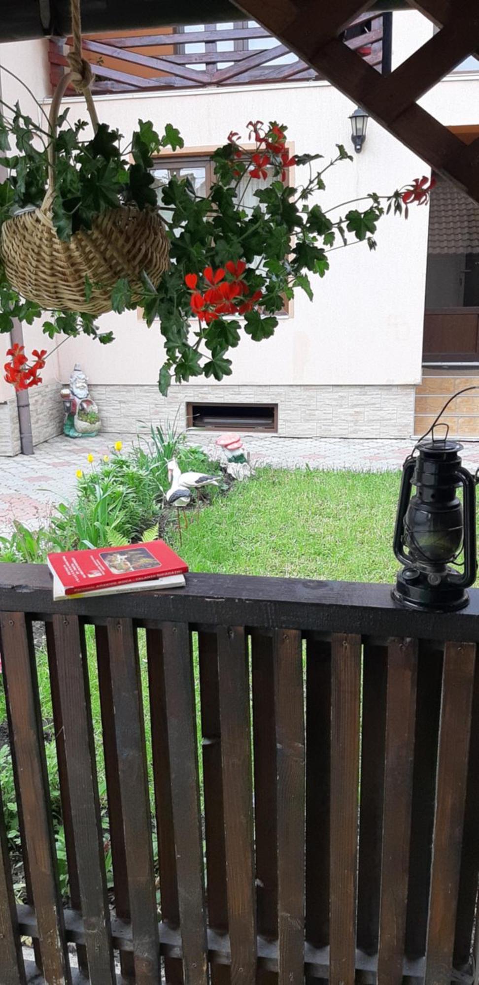 ZărneştiCasa Nicoladisアパートメント 部屋 写真