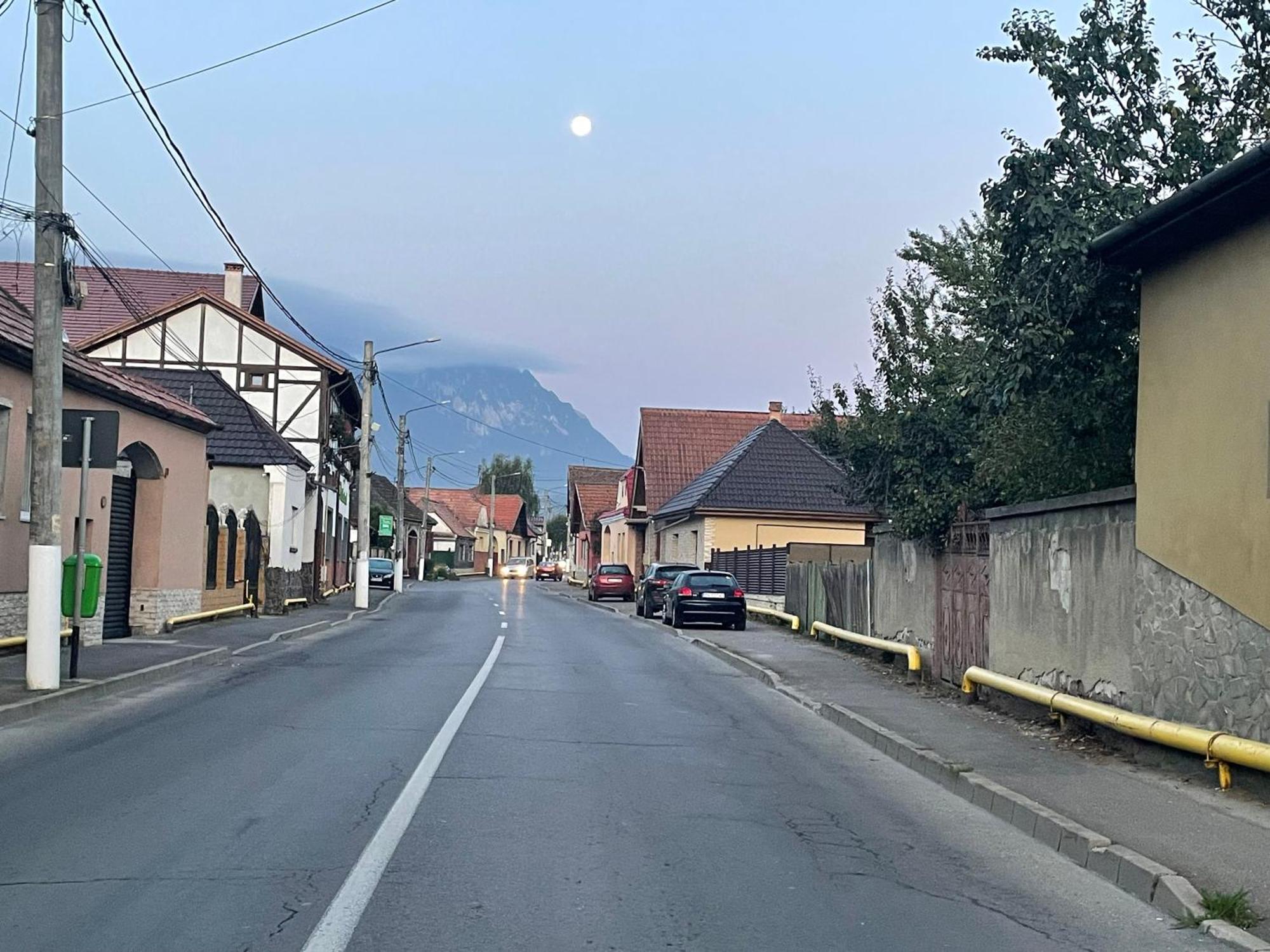 ZărneştiCasa Nicoladisアパートメント エクステリア 写真