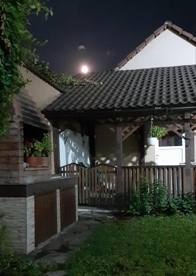 ZărneştiCasa Nicoladisアパートメント エクステリア 写真